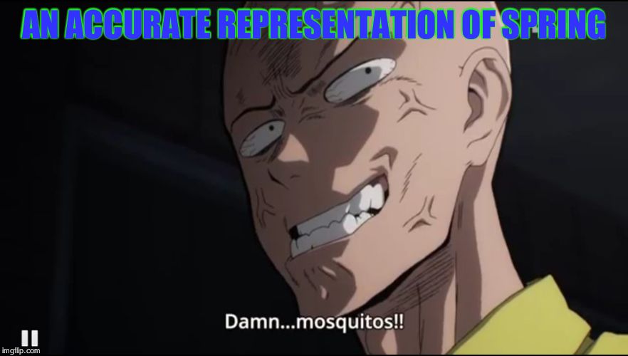 AN ACCURATE REPRESENTATION OF SPRING | image tagged in opm mosquitos | made w/ Imgflip meme maker