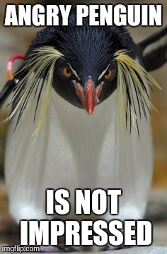 ANGRY PENGUIN IS NOT IMPRESSED | made w/ Imgflip meme maker
