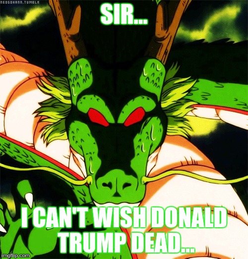 Shenron | SIR... I CAN'T WISH DONALD TRUMP DEAD... | image tagged in dragonball,dragonball z,dbz shenron,donald trump | made w/ Imgflip meme maker