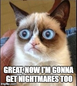 Grumpy Cat Shocked | GREAT, NOW I'M GONNA GET NIGHTMARES TOO | image tagged in grumpy cat shocked | made w/ Imgflip meme maker