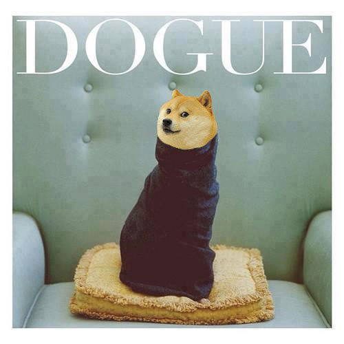 doge fashion Blank Meme Template