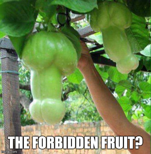 Penis Pear | THE FORBIDDEN FRUIT? | image tagged in fruit,penis | made w/ Imgflip meme maker