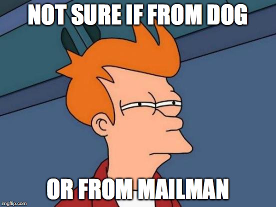 Futurama Fry Meme | NOT SURE IF FROM DOG OR FROM MAILMAN | image tagged in memes,futurama fry | made w/ Imgflip meme maker