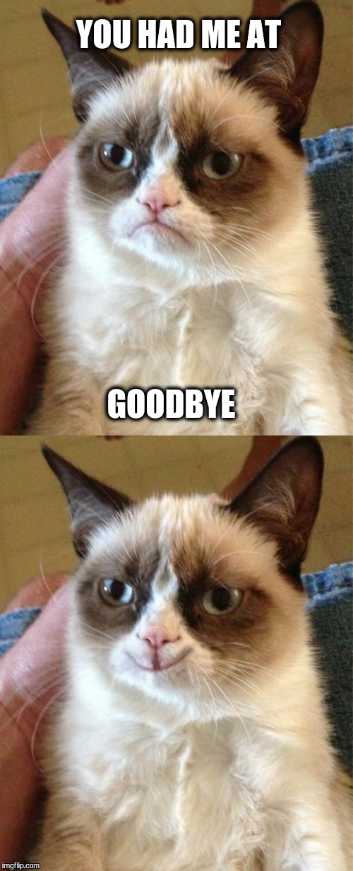 I thought you were leaving. | YOU HAD ME AT; GOODBYE | image tagged in grumpy cat,adele | made w/ Imgflip meme maker