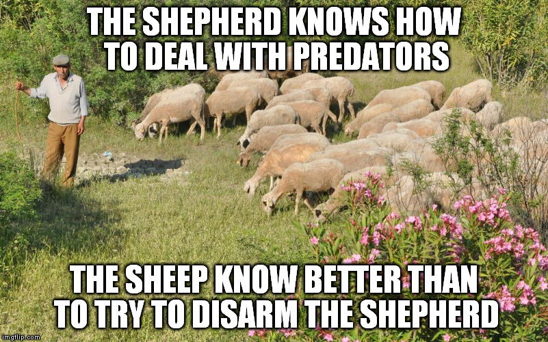 The sheep could learn from sheep. | THE SHEPHERD KNOWS HOW TO DEAL WITH PREDATORS; THE SHEEP KNOW BETTER THAN TO TRY TO DISARM THE SHEPHERD | image tagged in sheep | made w/ Imgflip meme maker