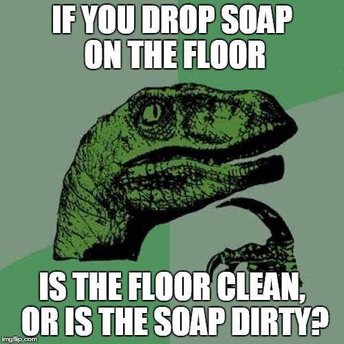 Philosoraptor | IF YOU DROP SOAP ON THE FLOOR; IS THE FLOOR CLEAN, OR IS THE SOAP DIRTY? | image tagged in memes,philosoraptor | made w/ Imgflip meme maker