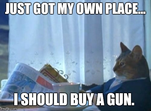 I should buy a gun cat | JUST GOT MY OWN PLACE... I SHOULD BUY A GUN. | image tagged in memes,i should buy a boat cat,gun owner,home alone | made w/ Imgflip meme maker