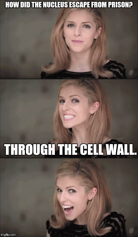 Bad Pun Anna Kendrick | HOW DID THE NUCLEUS ESCAPE FROM PRISON? THROUGH THE CELL WALL. | image tagged in memes,bad pun anna kendrick | made w/ Imgflip meme maker