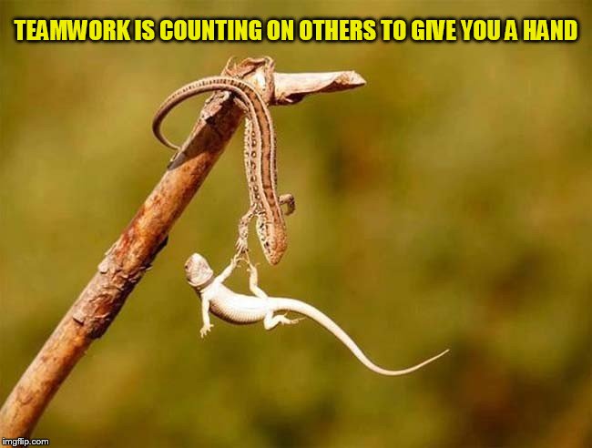 TEAMWORK IS COUNTING ON OTHERS TO GIVE YOU A HAND | made w/ Imgflip meme maker