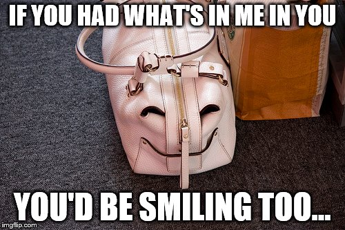 Because I'm happy... | IF YOU HAD WHAT'S IN ME IN YOU; YOU'D BE SMILING TOO... | image tagged in memes,happy bag,faces | made w/ Imgflip meme maker