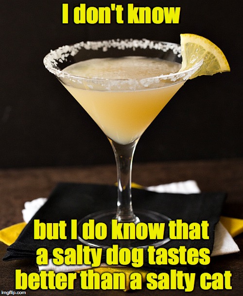 I don't know but I do know that a salty dog tastes better than a salty cat | made w/ Imgflip meme maker