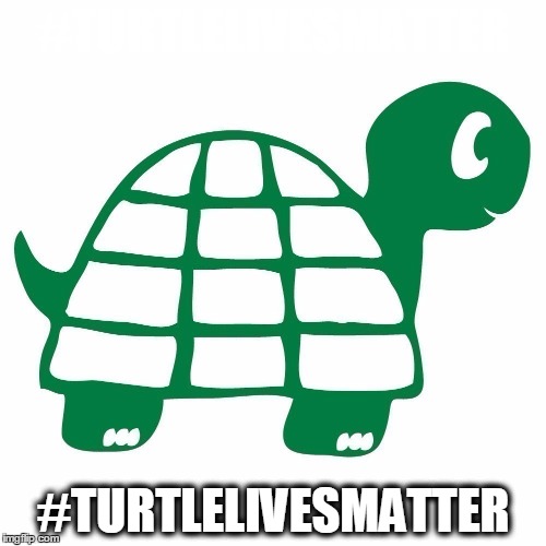 #TURTLELIVESMATTER; #TURTLELIVESMATTER | image tagged in turtle | made w/ Imgflip meme maker
