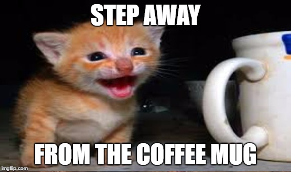 STEP AWAY FROM THE COFFEE MUG | made w/ Imgflip meme maker
