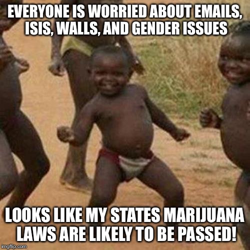 Third World Success Kid | EVERYONE IS WORRIED ABOUT EMAILS, ISIS, WALLS, AND GENDER ISSUES; LOOKS LIKE MY STATES MARIJUANA LAWS ARE LIKELY TO BE PASSED! | image tagged in memes,third world success kid,AdviceAnimals | made w/ Imgflip meme maker