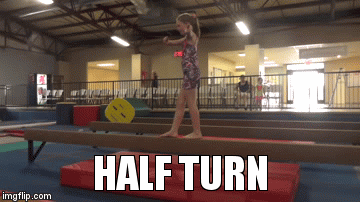 HALF TURN | image tagged in gifs | made w/ Imgflip video-to-gif maker