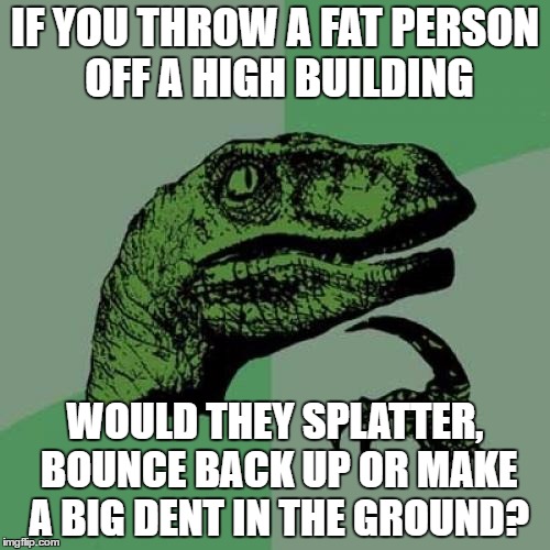 Philosoraptor | IF YOU THROW A FAT PERSON OFF A HIGH BUILDING; WOULD THEY SPLATTER, BOUNCE BACK UP OR MAKE A BIG DENT IN THE GROUND? | image tagged in memes,philosoraptor | made w/ Imgflip meme maker