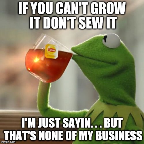 But That's None Of My Business | IF YOU CAN'T GROW IT DON'T SEW IT; I'M JUST SAYIN. . . BUT THAT'S NONE OF MY BUSINESS | image tagged in memes,but thats none of my business,kermit the frog | made w/ Imgflip meme maker