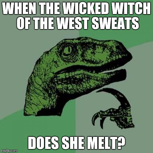 Philosoraptor | WHEN THE WICKED WITCH OF THE WEST SWEATS; DOES SHE MELT? | image tagged in memes,philosoraptor | made w/ Imgflip meme maker