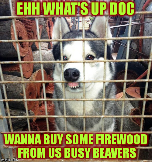 They say a dog resembles his owner | EHH WHAT'S UP DOC; WANNA BUY SOME FIREWOOD FROM US BUSY BEAVERS | image tagged in memes | made w/ Imgflip meme maker