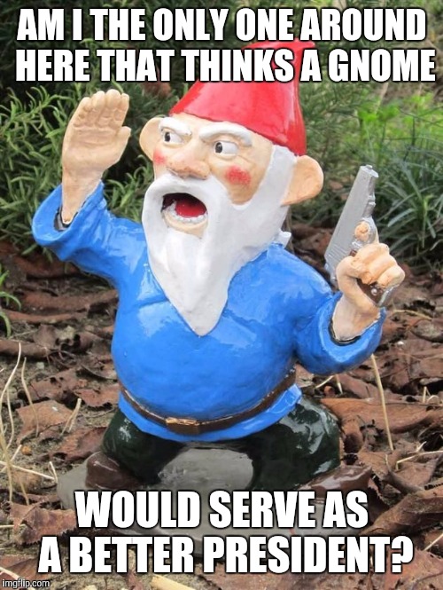 AM I THE ONLY ONE AROUND HERE THAT THINKS A GNOME WOULD SERVE AS A BETTER PRESIDENT? | made w/ Imgflip meme maker