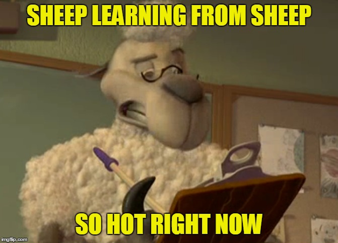 SHEEP LEARNING FROM SHEEP SO HOT RIGHT NOW | made w/ Imgflip meme maker