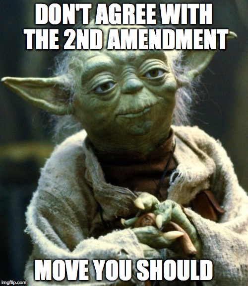 Star Wars Yoda Meme | DON'T AGREE WITH THE 2ND AMENDMENT; MOVE YOU SHOULD | image tagged in memes,star wars yoda | made w/ Imgflip meme maker
