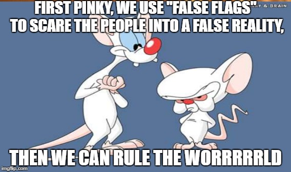 Then we will rule the world. | FIRST PINKY, WE USE "FALSE FLAGS" TO SCARE THE PEOPLE INTO A FALSE REALITY, THEN WE CAN RULE THE WORRRRRLD | image tagged in pinky,and,the,brain,take over the world | made w/ Imgflip meme maker