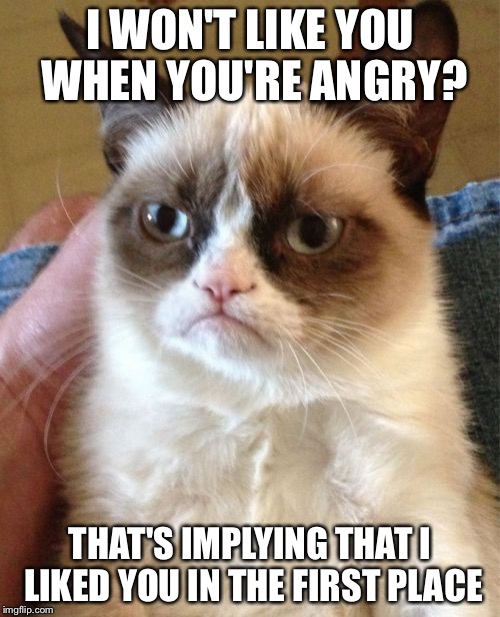 Grumpy Cat Meme | I WON'T LIKE YOU WHEN YOU'RE ANGRY? THAT'S IMPLYING THAT I LIKED YOU IN THE FIRST PLACE | image tagged in memes,grumpy cat | made w/ Imgflip meme maker