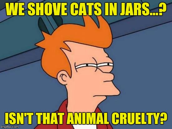 Futurama Fry Meme | WE SHOVE CATS IN JARS...? ISN'T THAT ANIMAL CRUELTY? | image tagged in memes,futurama fry | made w/ Imgflip meme maker