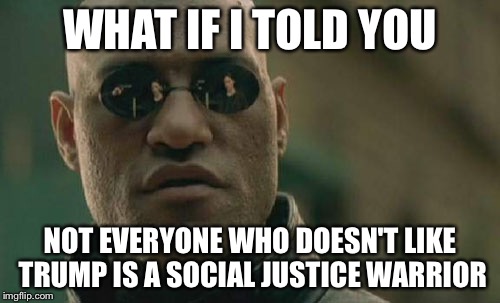 Matrix Morpheus Meme | WHAT IF I TOLD YOU; NOT EVERYONE WHO DOESN'T LIKE TRUMP IS A SOCIAL JUSTICE WARRIOR | image tagged in memes,matrix morpheus | made w/ Imgflip meme maker