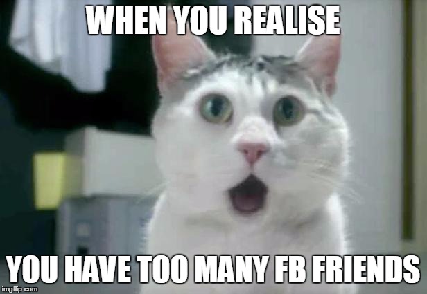 OMG Cat | WHEN YOU REALISE; YOU HAVE TOO MANY FB FRIENDS | image tagged in memes,omg cat | made w/ Imgflip meme maker