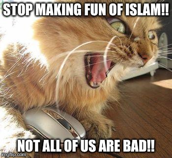 angry cat | STOP MAKING FUN OF ISLAM!! NOT ALL OF US ARE BAD!! | image tagged in angry cat | made w/ Imgflip meme maker
