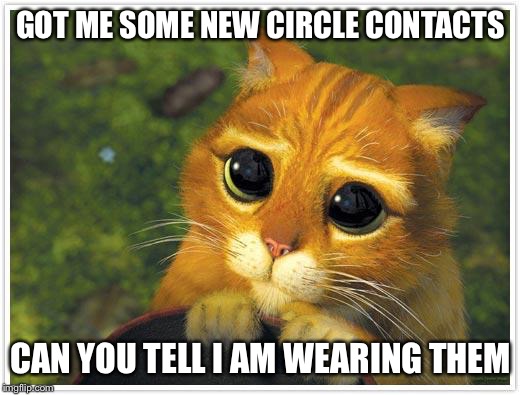 Shrek Cat Meme | GOT ME SOME NEW CIRCLE CONTACTS; CAN YOU TELL I AM WEARING THEM | image tagged in memes,shrek cat | made w/ Imgflip meme maker