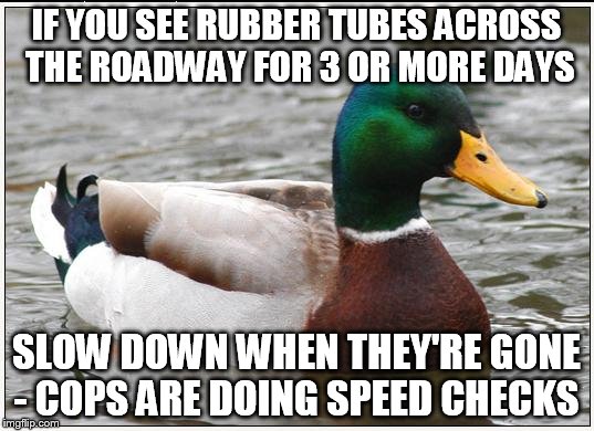 Actual Advice Mallard | IF YOU SEE RUBBER TUBES ACROSS THE ROADWAY FOR 3 OR MORE DAYS; SLOW DOWN WHEN THEY'RE GONE - COPS ARE DOING SPEED CHECKS | image tagged in memes,actual advice mallard,AdviceAnimals | made w/ Imgflip meme maker