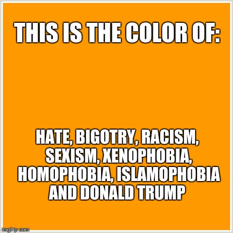 THIS IS THE COLOR OF:; HATE, BIGOTRY, RACISM, SEXISM, XENOPHOBIA, HOMOPHOBIA, ISLAMOPHOBIA AND DONALD TRUMP | image tagged in orange the color of hate,donald trump,hate,bigotry,rascism,sexism | made w/ Imgflip meme maker