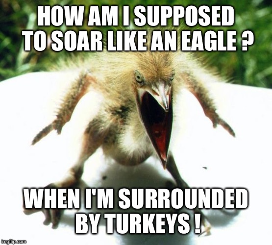 Beer Belly Slug | HOW AM I SUPPOSED TO SOAR LIKE AN EAGLE ? WHEN I'M SURROUNDED BY TURKEYS ! | image tagged in beer belly slug | made w/ Imgflip meme maker