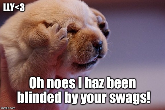 LLY<3; Oh noes I haz been blinded by your swags! | made w/ Imgflip meme maker