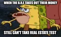 Spongegar | WHEN THE B.R.E TAKES OUT THEIR MONEY; STILL CAN'T TAKE REAL ESTATE TEST | image tagged in spongegar meme | made w/ Imgflip meme maker