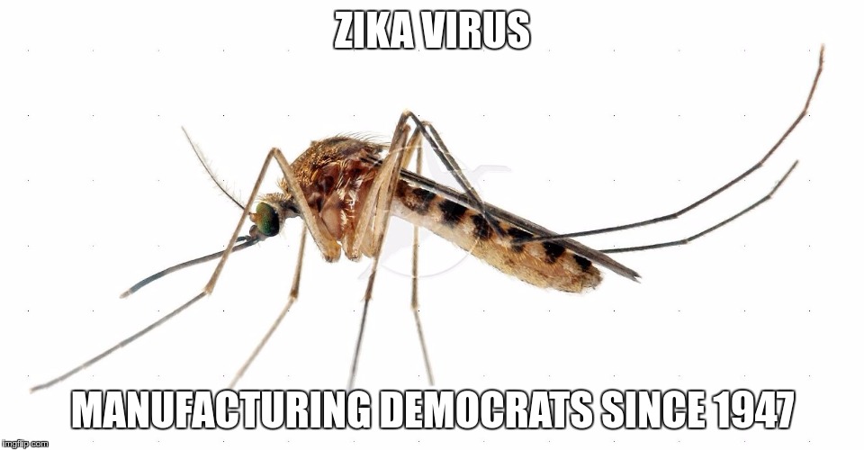 Mosquito | ZIKA VIRUS; MANUFACTURING DEMOCRATS SINCE 1947 | image tagged in mosquito | made w/ Imgflip meme maker