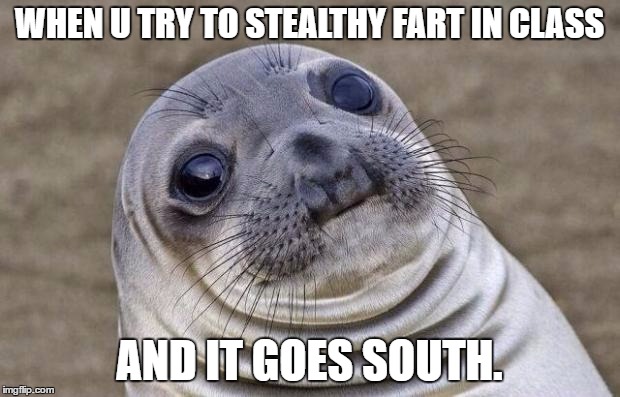 Awkward Moment Sealion | WHEN U TRY TO STEALTHY FART IN CLASS; AND IT GOES SOUTH. | image tagged in memes,awkward moment sealion | made w/ Imgflip meme maker