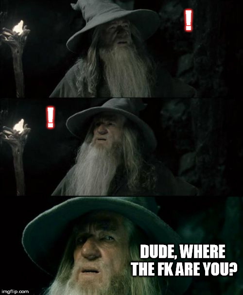 Confused Gandalf | ! ! DUDE, WHERE THE FK ARE YOU? | image tagged in memes,confused gandalf | made w/ Imgflip meme maker