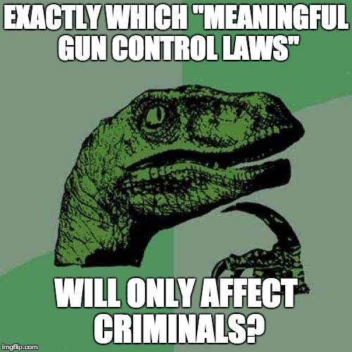 No one blames cars for drunk drivers. | EXACTLY WHICH "MEANINGFUL GUN CONTROL LAWS"; WILL ONLY AFFECT CRIMINALS? | image tagged in philosoraptor,gun control,gun laws,politics,idiocy,liberal logic | made w/ Imgflip meme maker