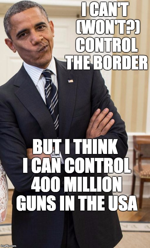 I think the stress of the office has affected his reasoning ability. Molon labe Obama. Molon labe. | I CAN'T  (WON'T?) CONTROL THE BORDER; BUT I THINK I CAN CONTROL 400 MILLION GUNS IN THE USA | image tagged in yeah right obama,psychopath,politics | made w/ Imgflip meme maker