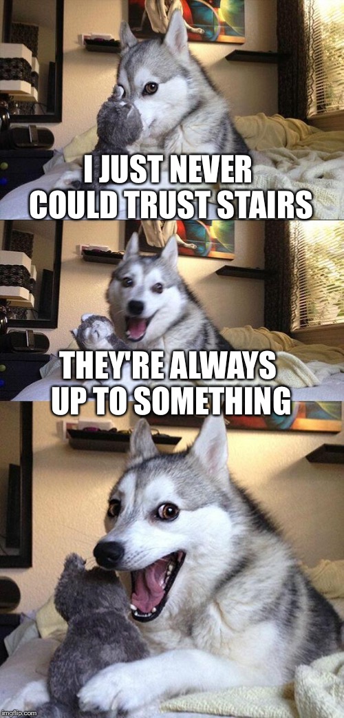 So untrustworthy.... | I JUST NEVER COULD TRUST STAIRS; THEY'RE ALWAYS UP TO SOMETHING | image tagged in memes,bad pun dog,funny,puns | made w/ Imgflip meme maker