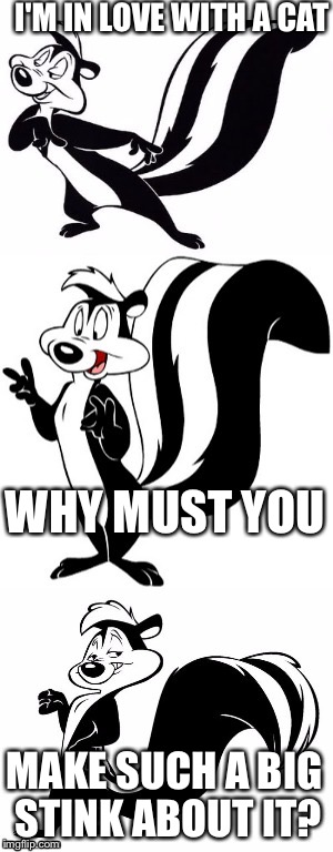 I Identify as Feline | I'M IN LOVE WITH A CAT; WHY MUST YOU; MAKE SUCH A BIG STINK ABOUT IT? | image tagged in bad pun le pew,funny,bad pun,memes | made w/ Imgflip meme maker