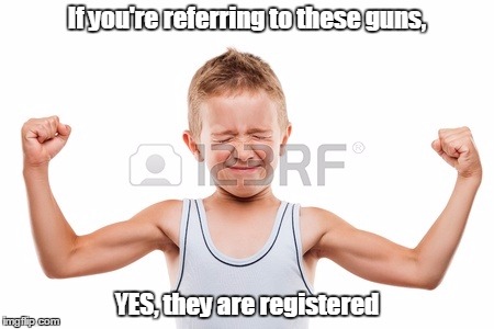 registered guns | If you're referring to these guns, YES, they are registered | image tagged in reggie | made w/ Imgflip meme maker