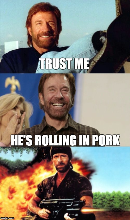 TRUST ME HE'S ROLLING IN PORK | image tagged in awesome pun chuck norris | made w/ Imgflip meme maker