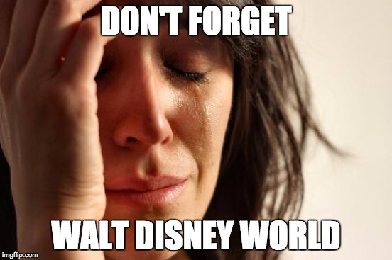 First World Problems Meme | DON'T FORGET WALT DISNEY WORLD | image tagged in memes,first world problems | made w/ Imgflip meme maker