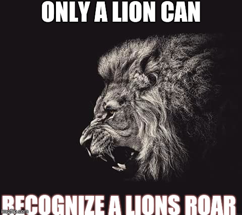 Lion | ONLY A LION CAN; RECOGNIZE A LIONS ROAR | image tagged in lion | made w/ Imgflip meme maker