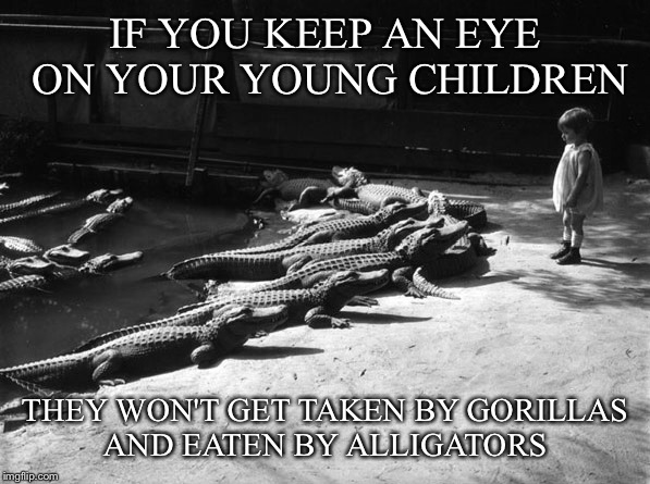 "We thought they were tame 'Gators trained by Disney" ...I wonder if the parents will demand a refund for their tickets?    | IF YOU KEEP AN EYE ON YOUR YOUNG CHILDREN; THEY WON'T GET TAKEN BY GORILLAS AND EATEN BY ALLIGATORS | image tagged in memes,news | made w/ Imgflip meme maker